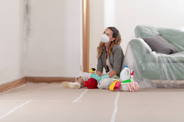 Reliable Black Mold Removal contractor in Great Falls, VA by WQB Mold Removal